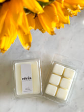 Load image into Gallery viewer, Wax melts